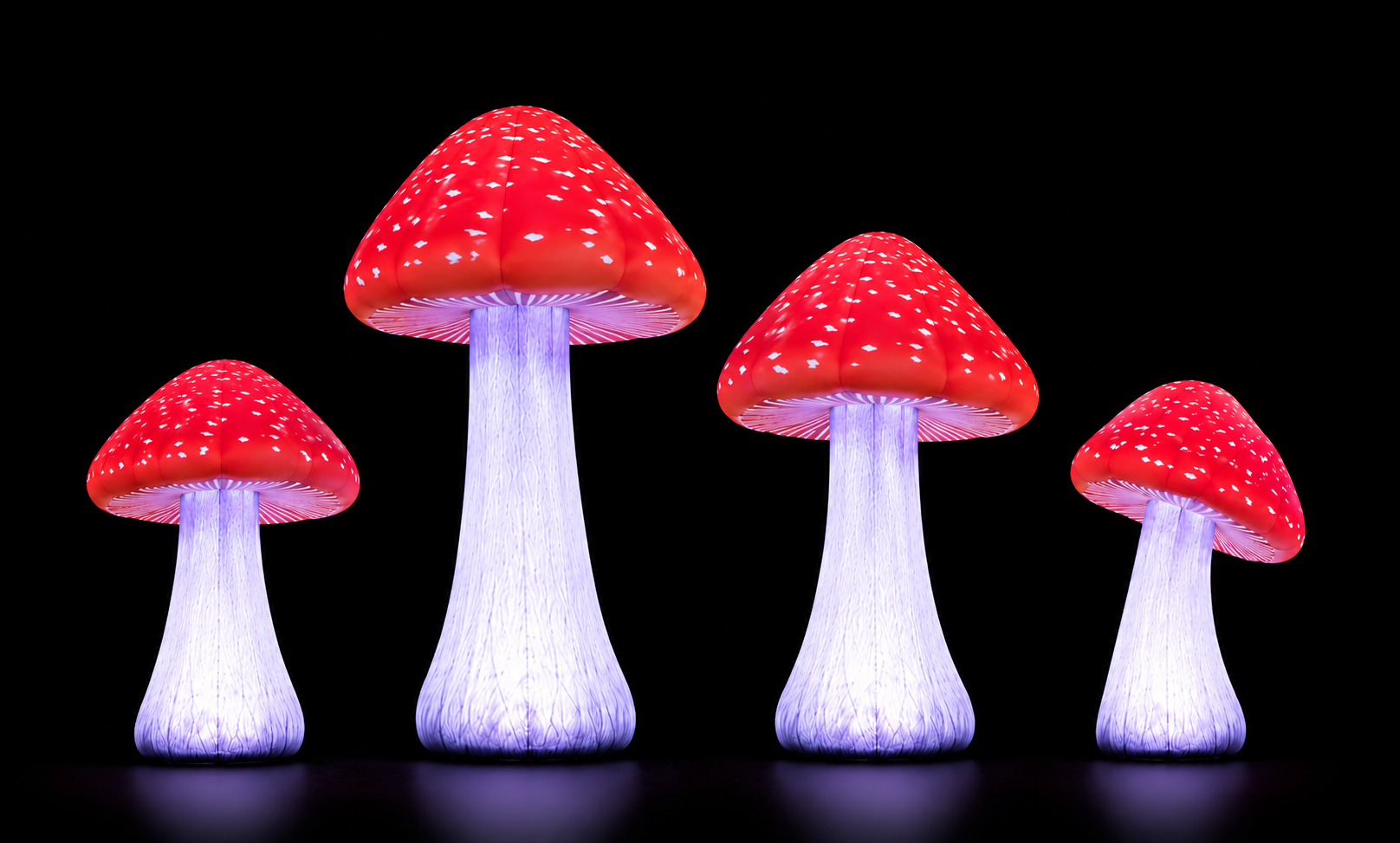 Champignons Géants